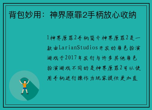 背包妙用：神界原罪2手柄放心收纳